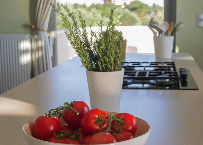 Afrala Summerhouse 빌라 Chavriáta